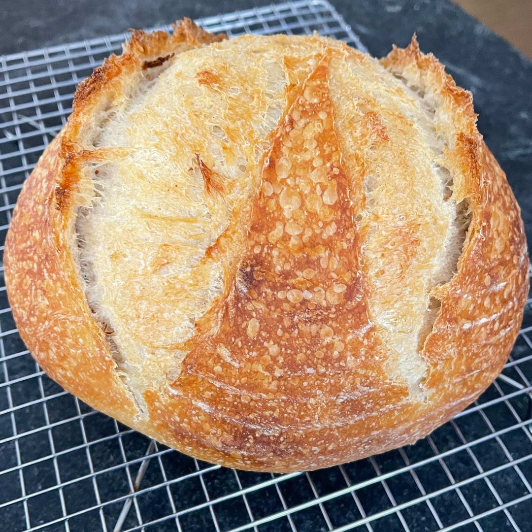 sourdough bread for beginners