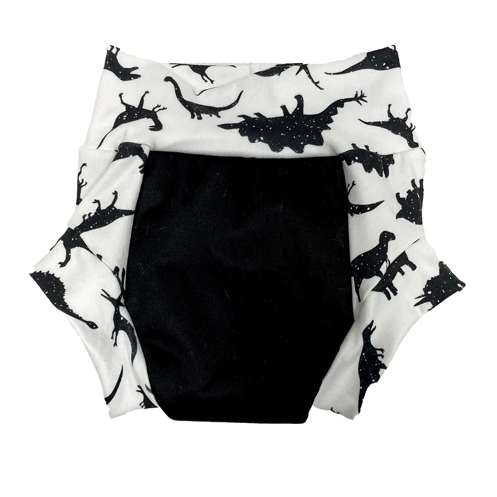 Smart Bottoms Nighttime Trainer potty training pants dino rawr