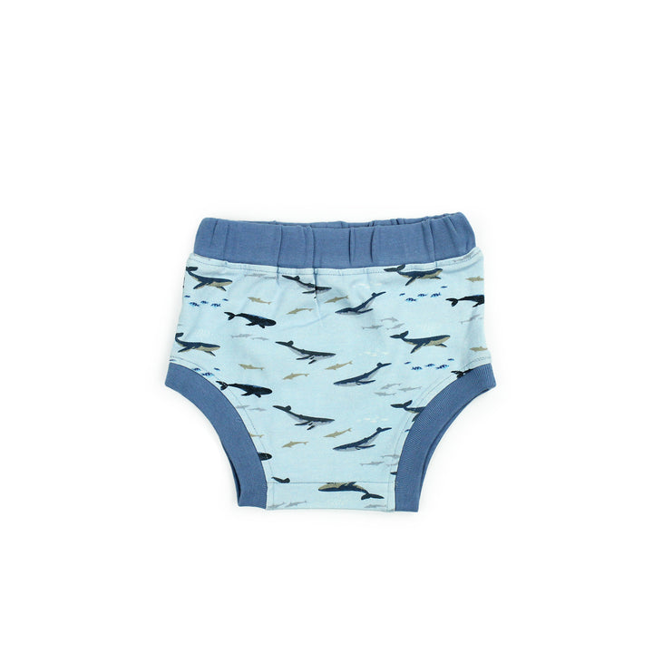 0-3 months whales underwear