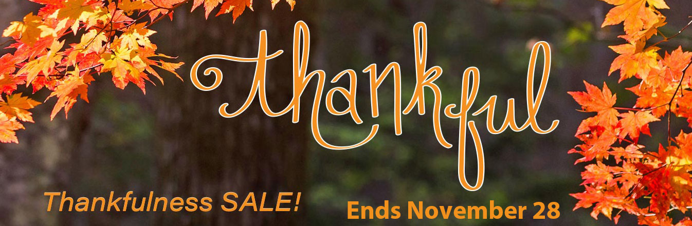 Thanksgiving cloth diaper sale